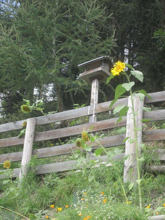 Ferienhaus Fichtenheim Prägraten エクステリア 写真